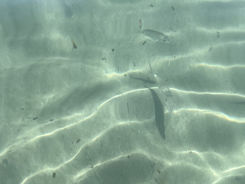 Strand Hotel Albatros