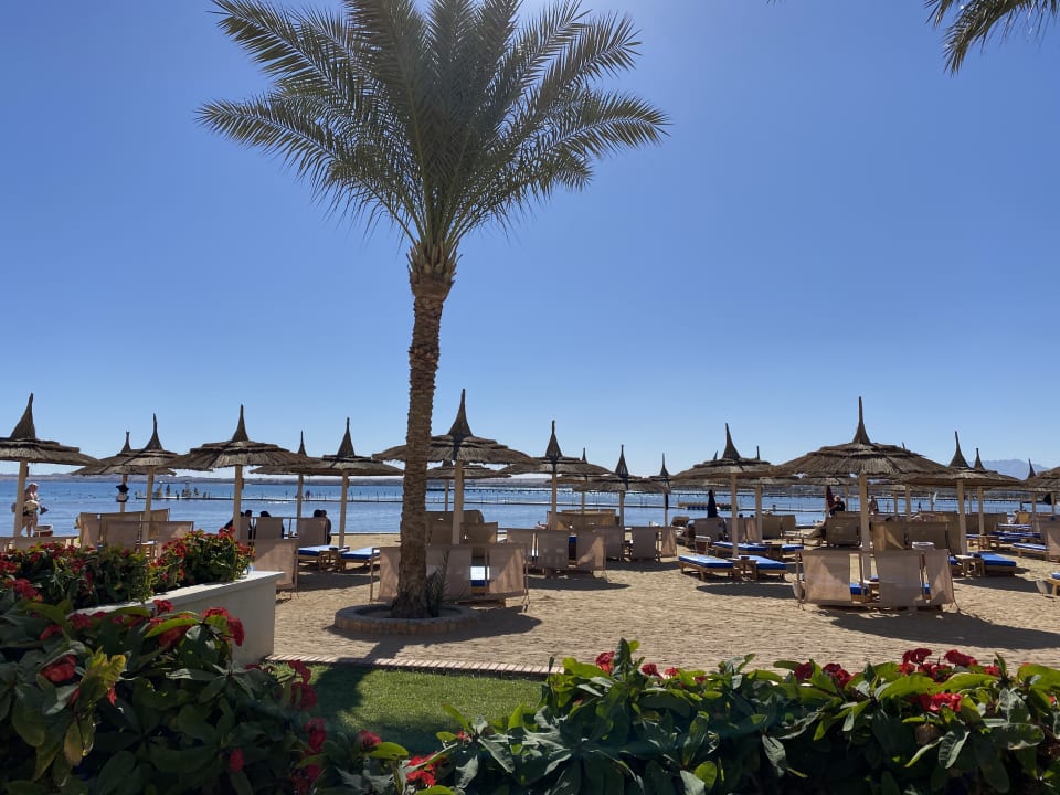 Strand Beach Albatros Resort