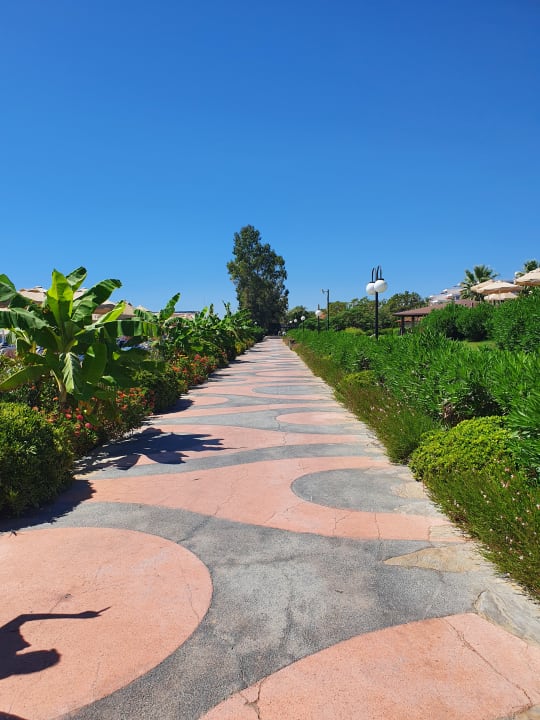 Gartenanlage Sunrise Resort Hotel