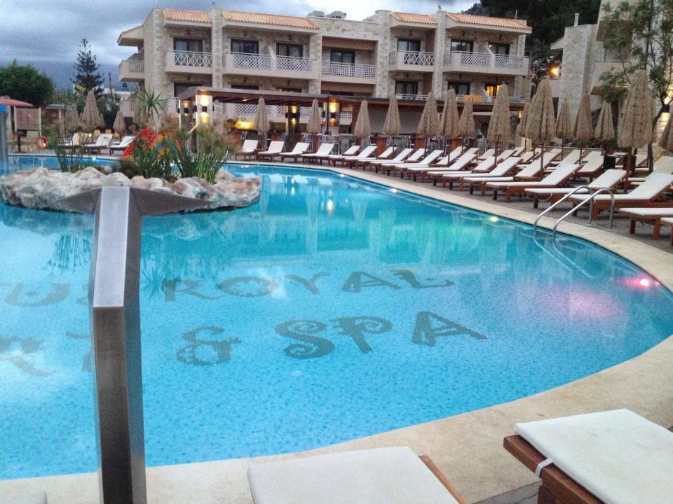 Grosser Pool Cactus Royal