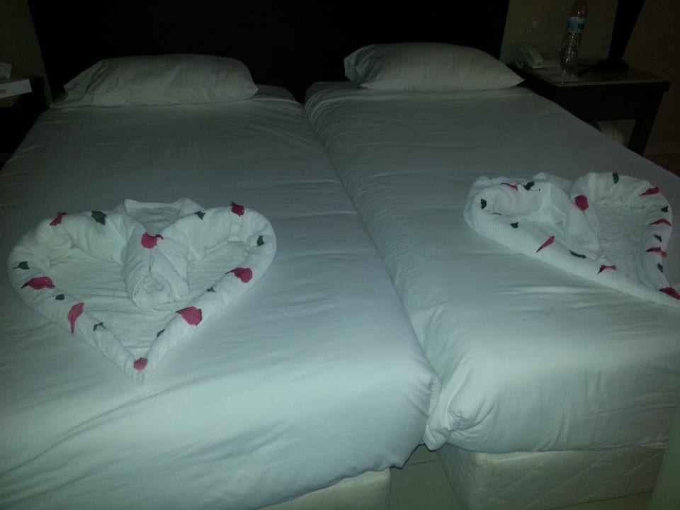 Jeden Tag was Neues Jaz Dar EL Madina