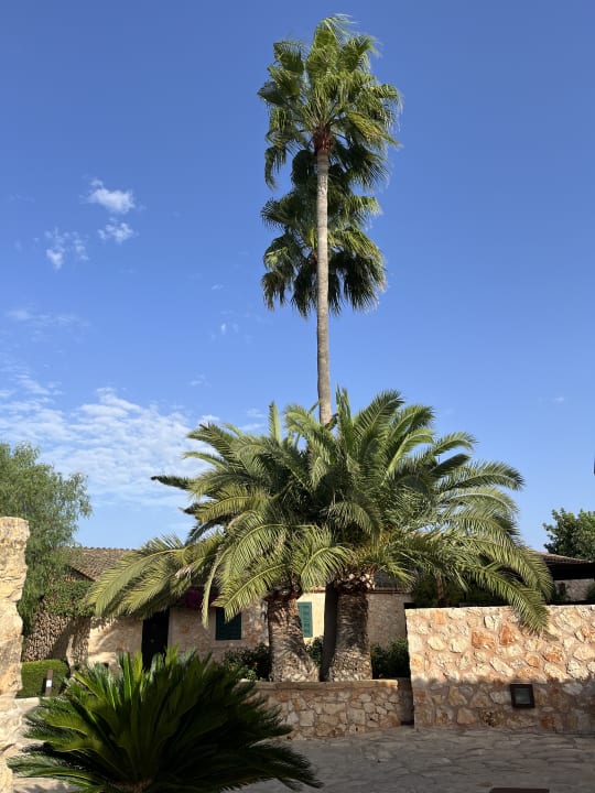 Außenansicht Hotel Son Trobat Wellness & Spa