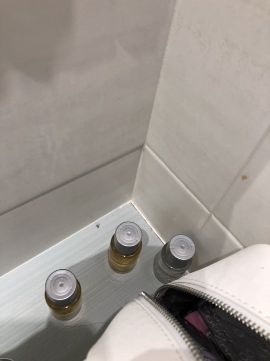 Zimmer Alcudia Garden Aparthotel