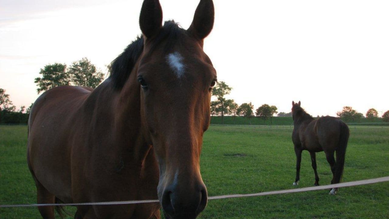 Ausblick Landsitzhotel Peterhof
