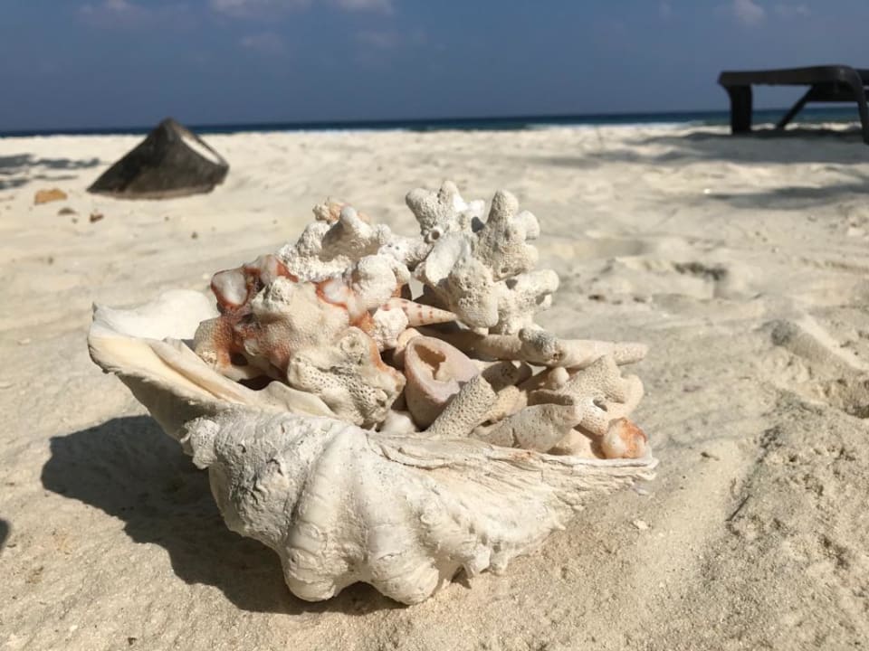 Strand Kuredu Island Resort & Spa