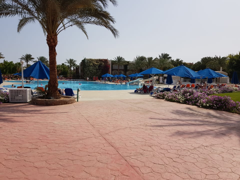 Sport & Freizeit Desert Rose