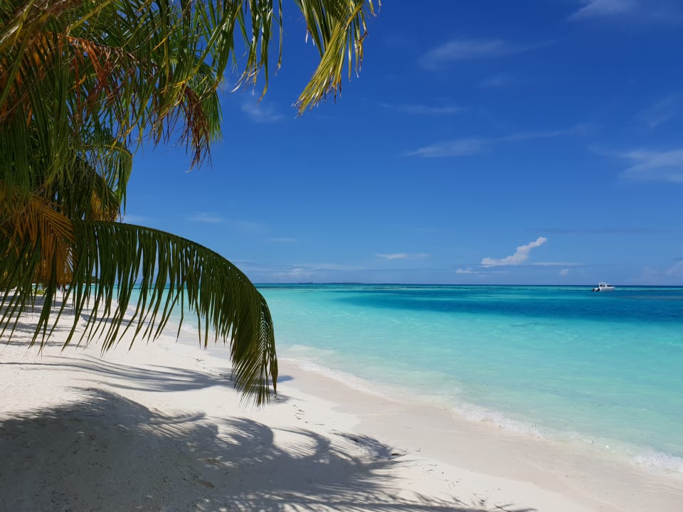 Strand Meeru Maldives Resort Island