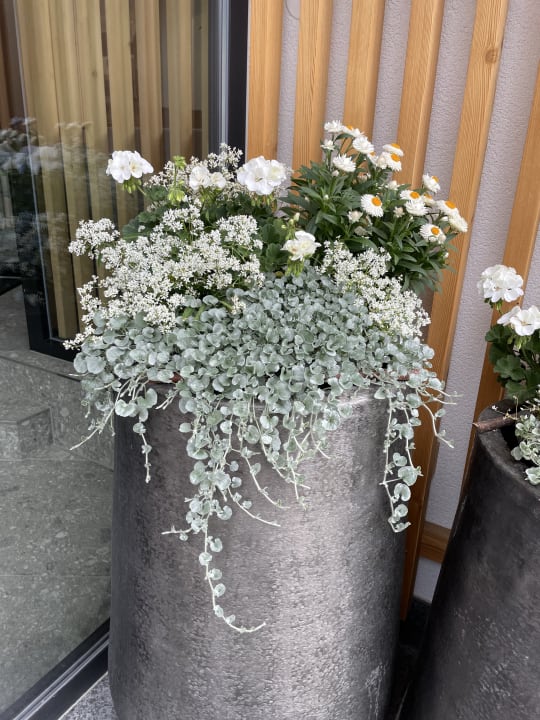 Gartenanlage Hotel Thurnerhof