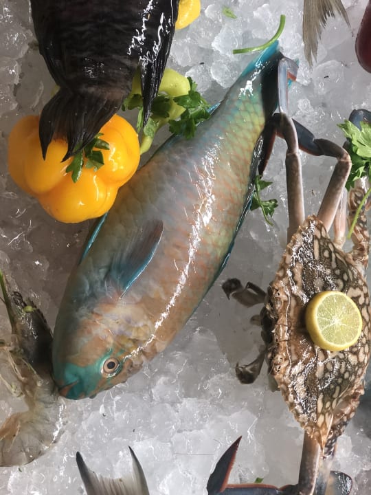 Gastro Pickalbatros Sea World Resort - Marsa Alam