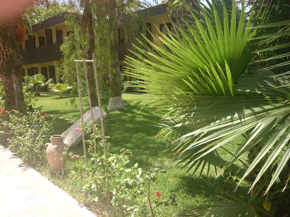      878767 Hotel Paradis Palace