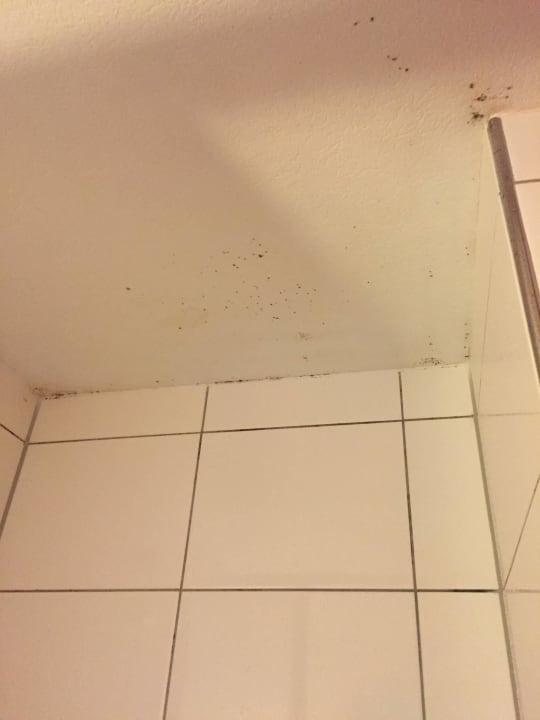 Schimmel in der Dusche an der Decke  Steep´s Ihr Brauhaus und Hotel