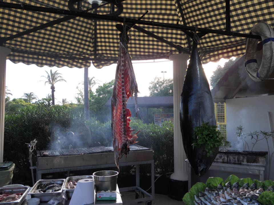 Fisch Asteria Family Belek