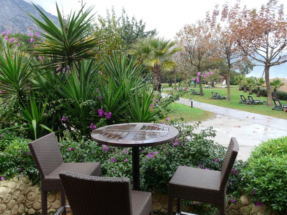 Sunset Beach Bar Balmy Foresta