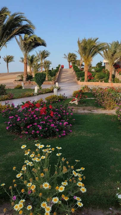 Gartenanlage Coral Sun Beach