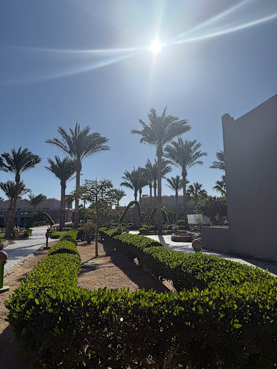 Gartenanlage Sentido Akassia Beach