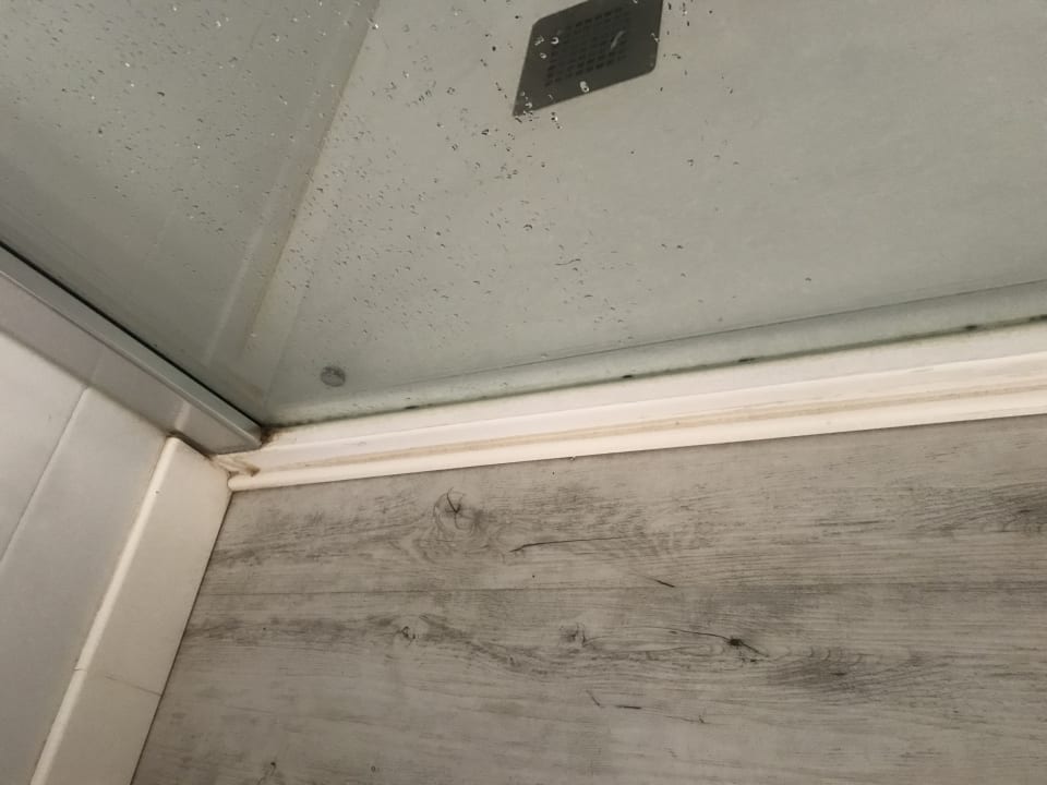 Zimmer FERGUS Club Pineda Splash