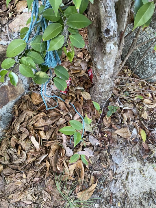 Gartenanlage Santhiya Koh Phangan Resort & Spa