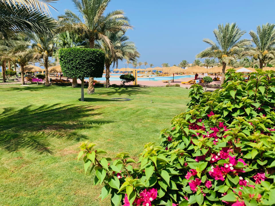 Gartenanlage Three Corners Sea Beach Resort