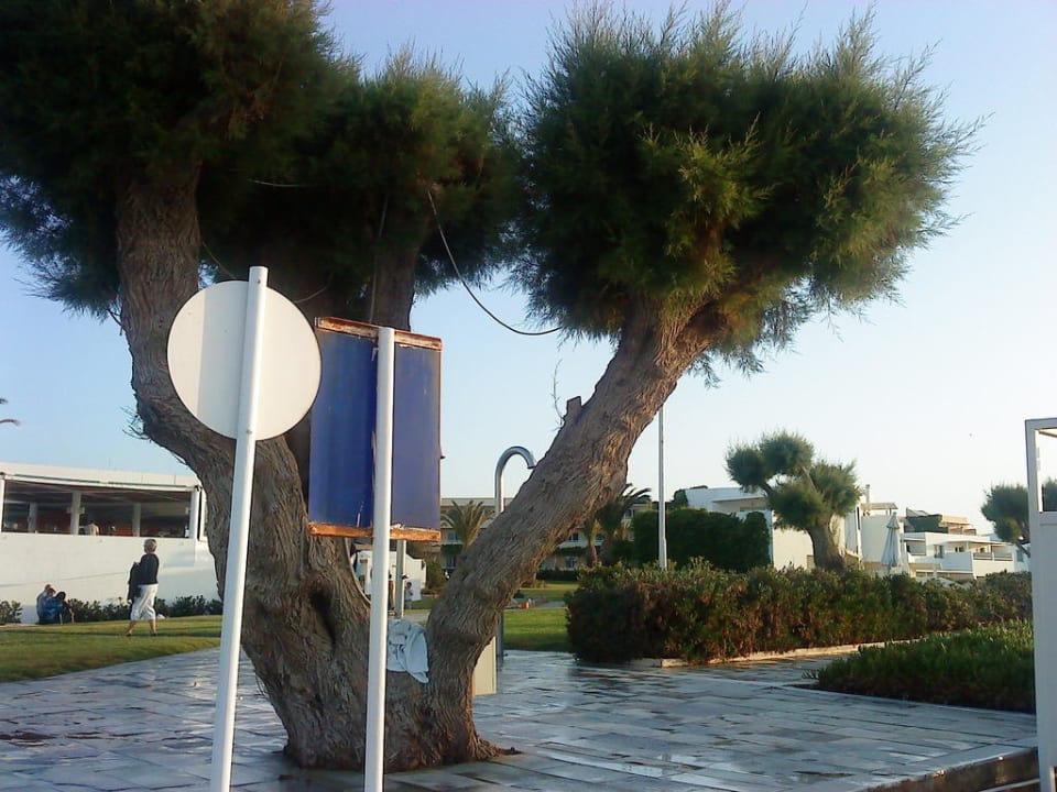 Strandpromenade Lyttos Beach Hotel