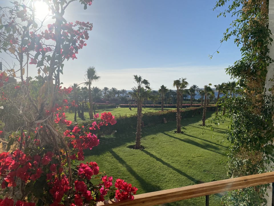 Ausblick Fort Arabesque Resort, Spa & Villas