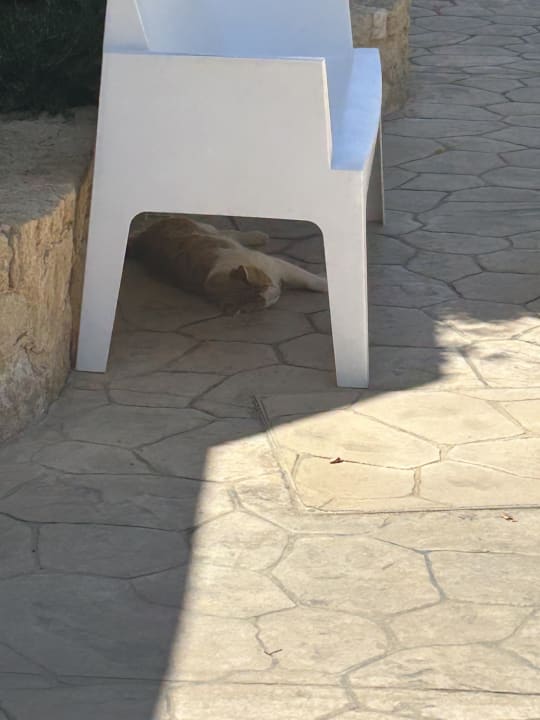 Ausblick Cactus Royal