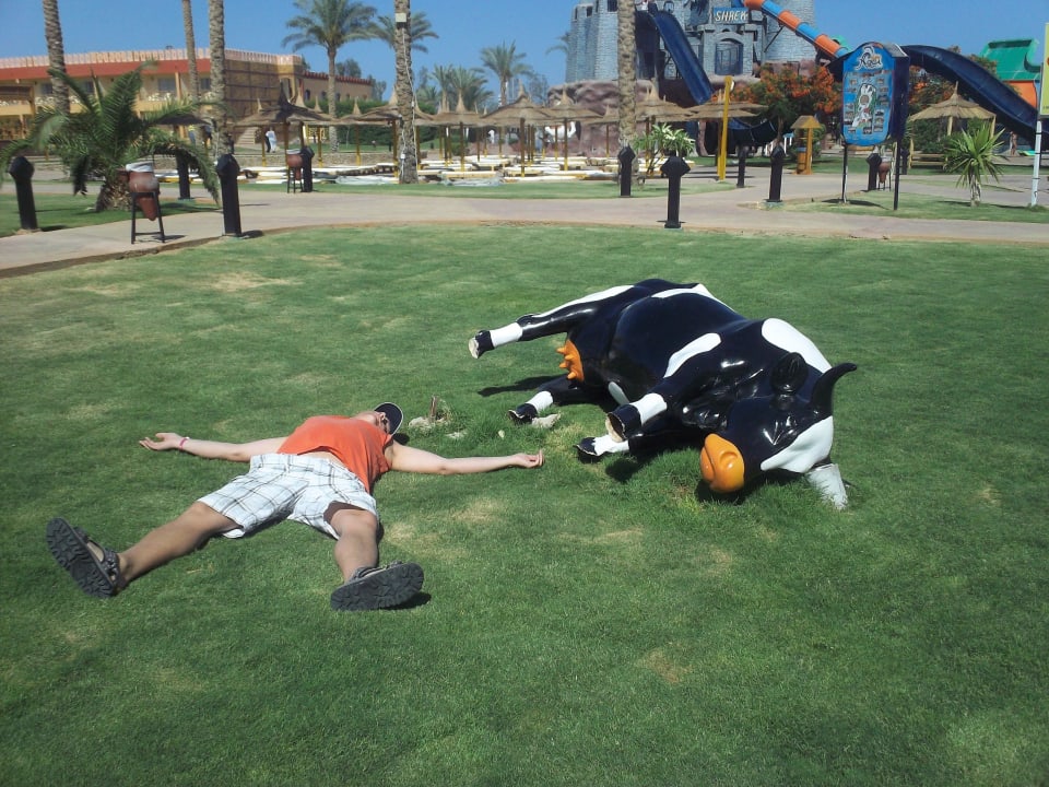 Zmęczeni? Pickalbatros Aqua Blu Resort - Sharm El Sheikh