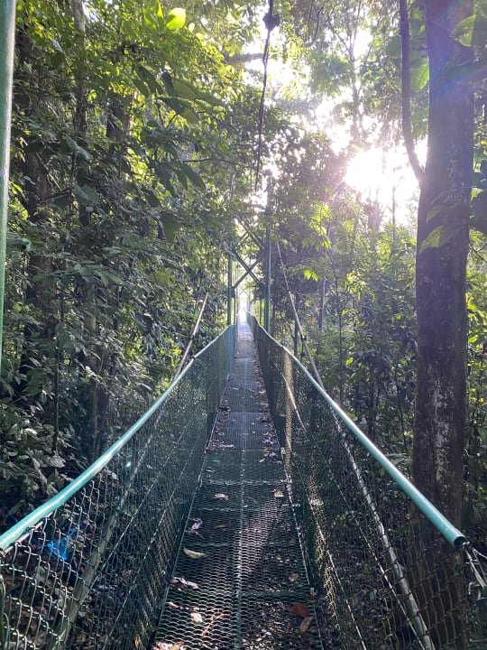 Gartenanlage Tirimbina Lodge