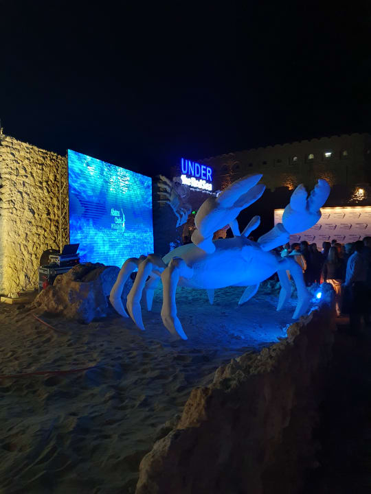 Sonstiges Pickalbatros Citadel Resort