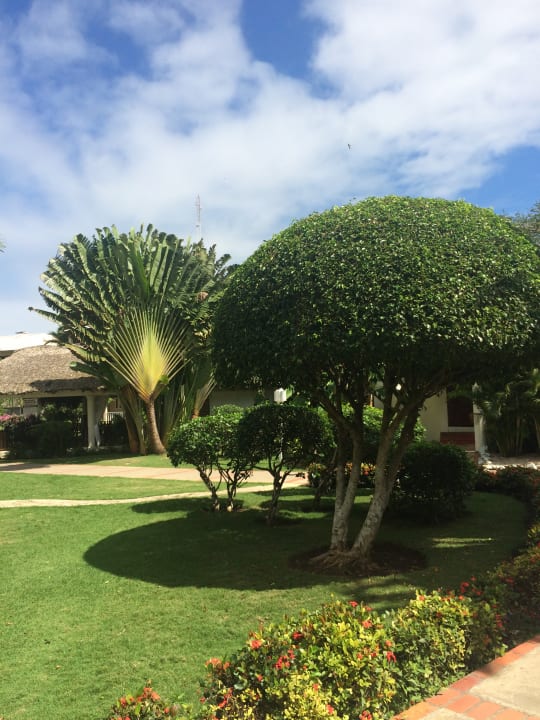 Gartenanlage BelleVue Dominican Bay