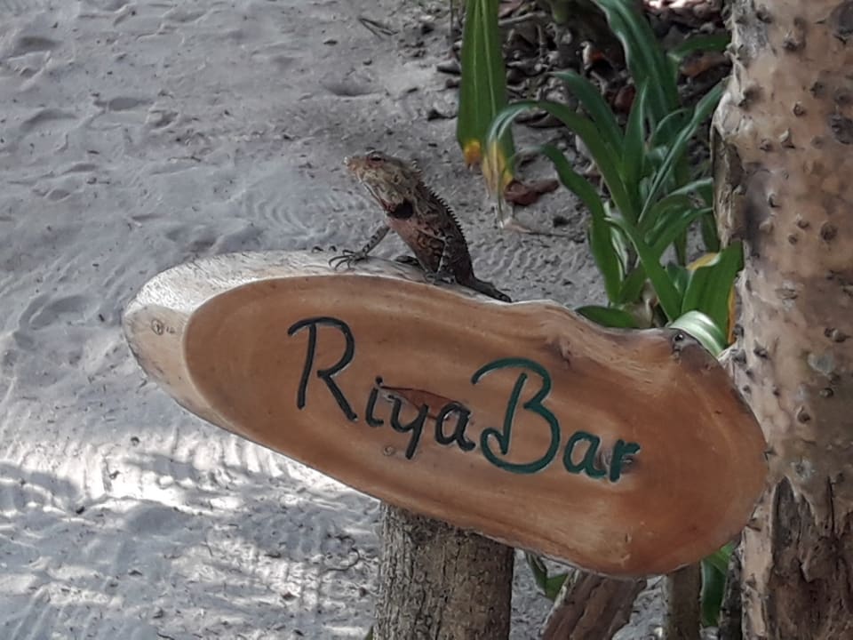 Sonstiges Reethi Beach Resort