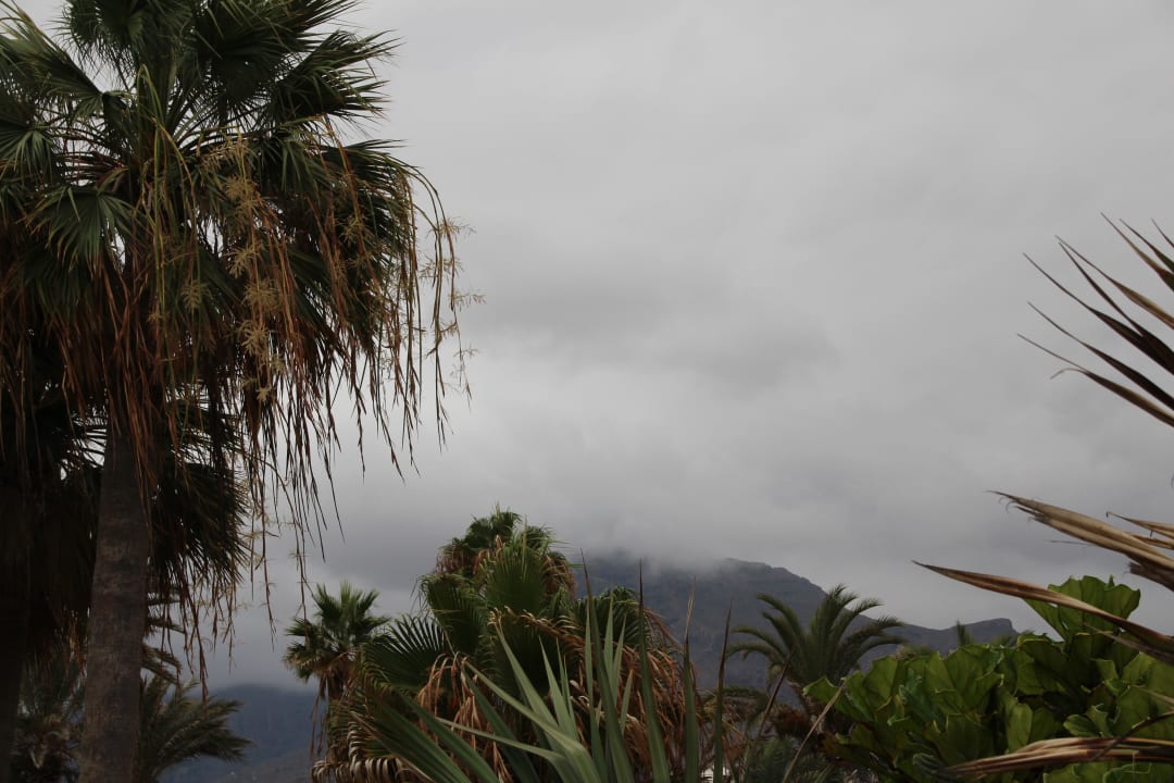 Hôtel H10 Las Palmeras - La Vue 2014 H10 Las Palmeras