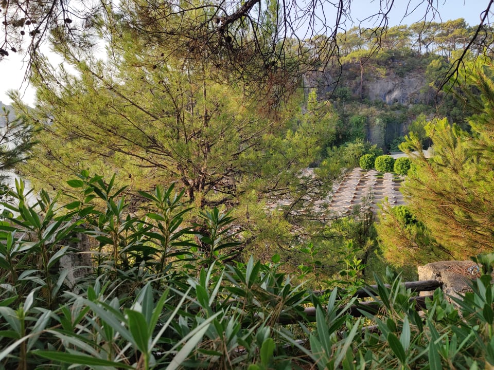 Ausblick TUI BLUE Seno - Adults Only