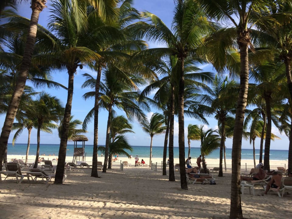 Hotel Strand / Garten Hotel Riu Palace Riviera Maya