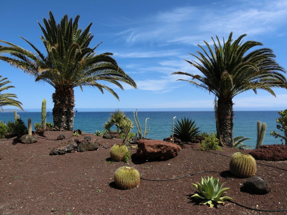 Ausblick Richtung Meer R2 Pajara Beach
