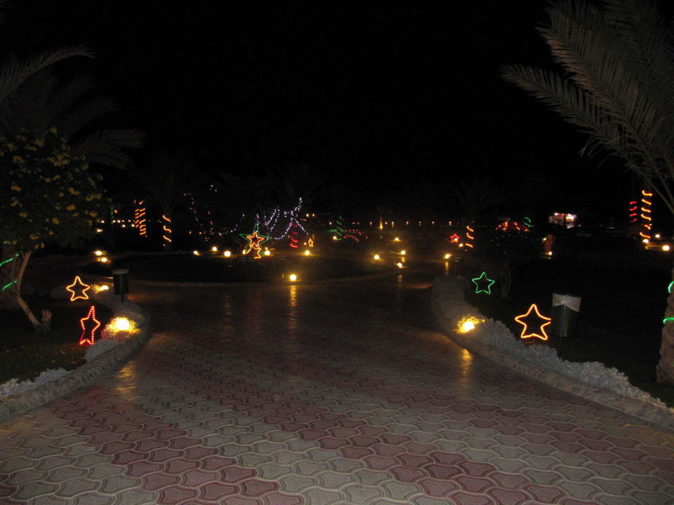 Dekoracje swiateczne nocą Three Corners Sea Beach Resort