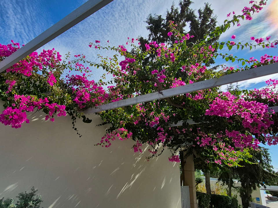 Gartenanlage alltoura Club Hotel Kiotari Miraluna