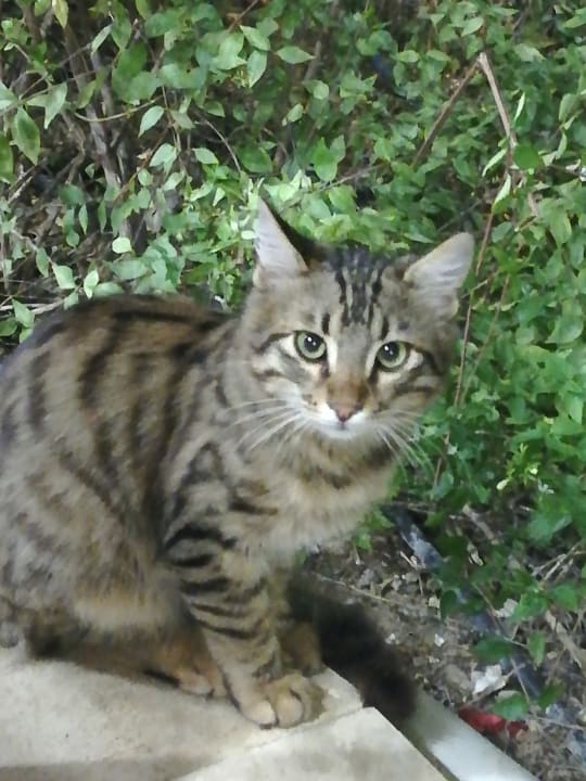 Sonstiges Dream World Aqua Hotel