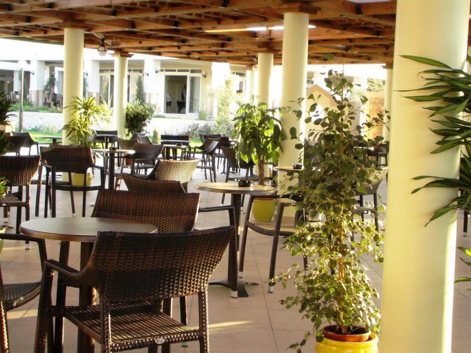 Sitzbereich an der Poolbar Hotel Gaia Palace