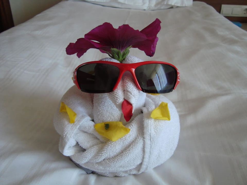 Schlange im Zimmer! Melas Lara Hotel
