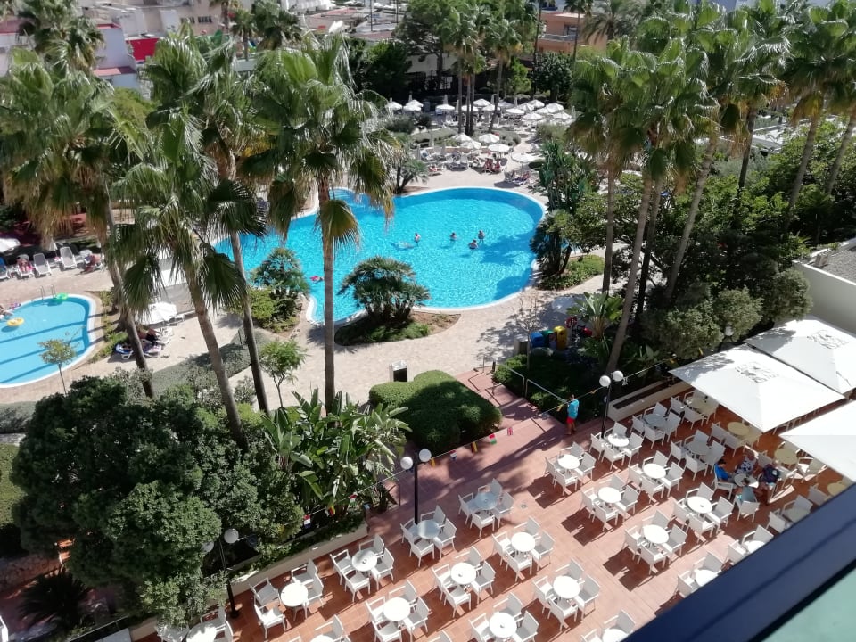 Pool Hipotels Said  Hotel