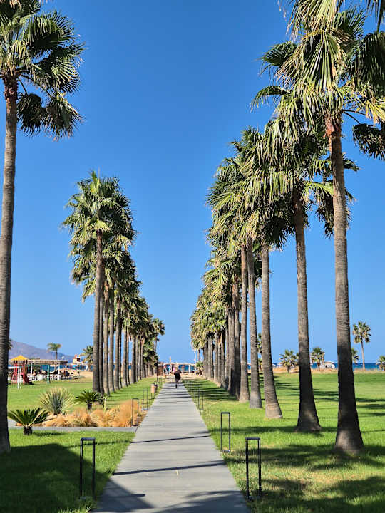 Gartenanlage Delfina Tropic Beach