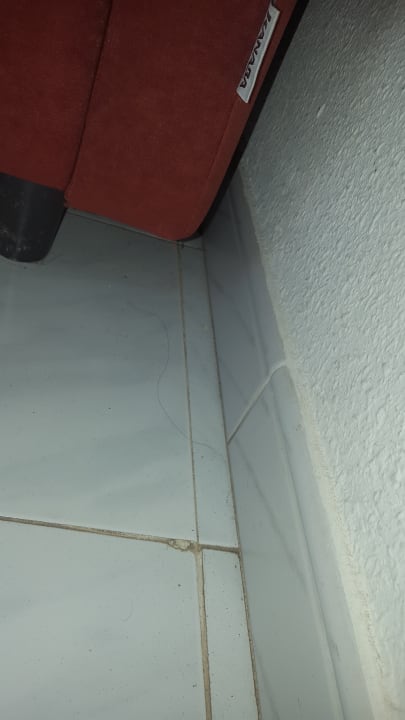 Zimmer SBH Hotel Taro Beach