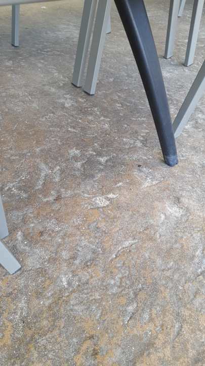 Gastro Hotel Borjana