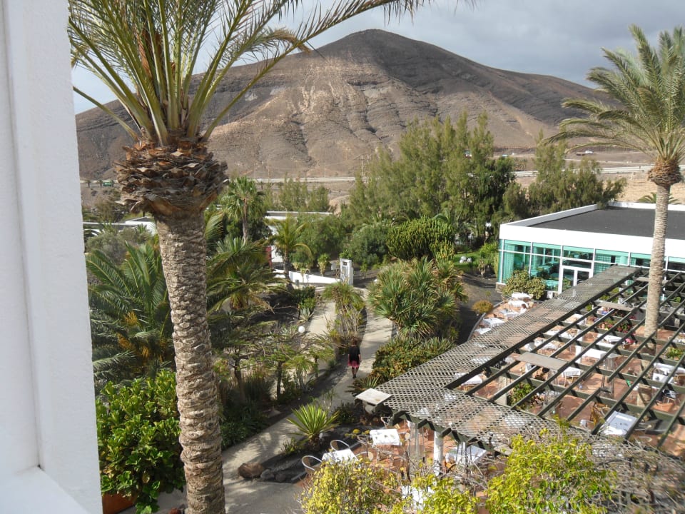 Blick über die Gartenanlage allsun App.-Hotel Esquinzo Beach