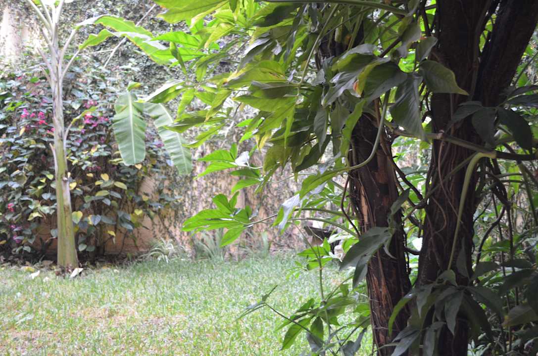 Gartenanlage Hotel Don Nino