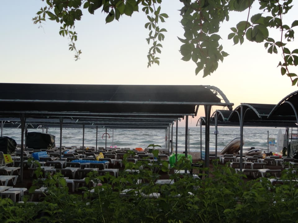 Aussicht auf den Strand beim a la Carte essen Trendy Palm Beach (Adults Only, 16+)