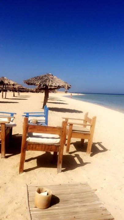 Plaża  Malikia Resort Abu Dabbab