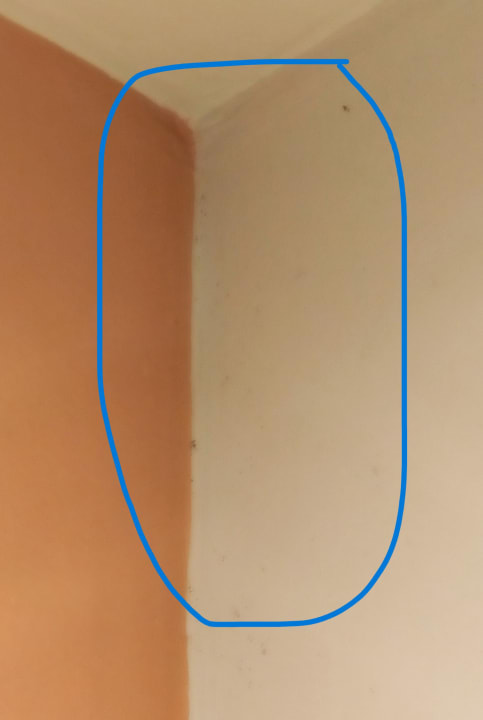 Zimmer Dreams La Romana Resort & Spa