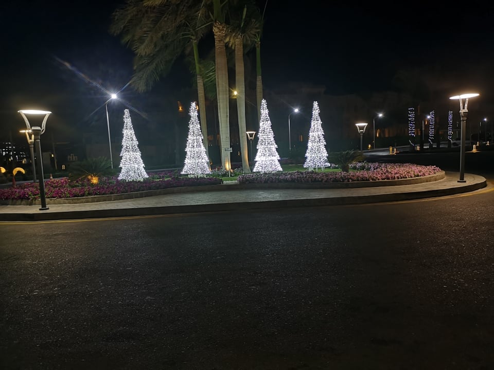 Gartenanlage Beach Albatros Resort
