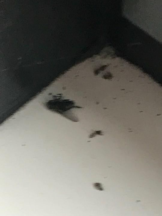 Zimmer Center Parcs Park De Haan